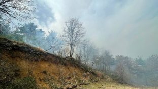 Büyük panik! Orman yanıyor alevler lodosun etkisi ile  yayılıyor
