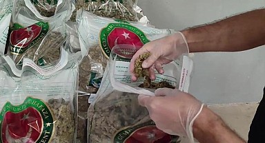 Bakan Bolat duyurdu: Yalova’daki uyuşturucu operasyonunda 10 milyon lira değerin de 80 kilo esrar ele geçirildi